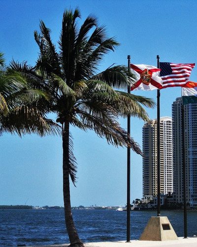 5 Things to Accomplish After Relocating or Moving Your Business to Florida