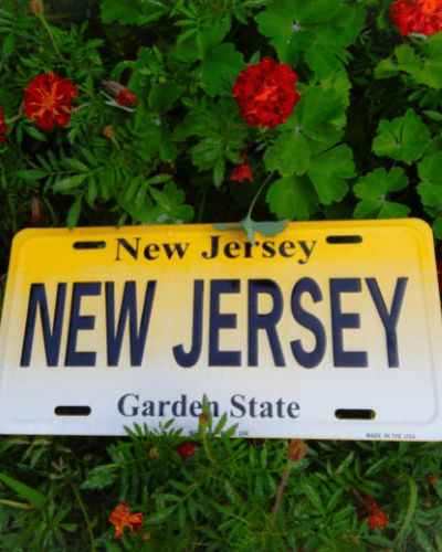 Can You Domesticate or Convert a New Jersey LLC to a Florida LLC?