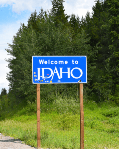 Can You Domesticate an Idaho Corporation to Florida?