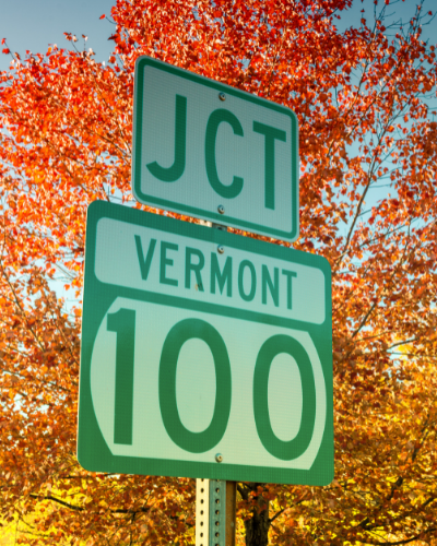 Can You Relocate or Convert a Vermont LLC to a Florida LLC?