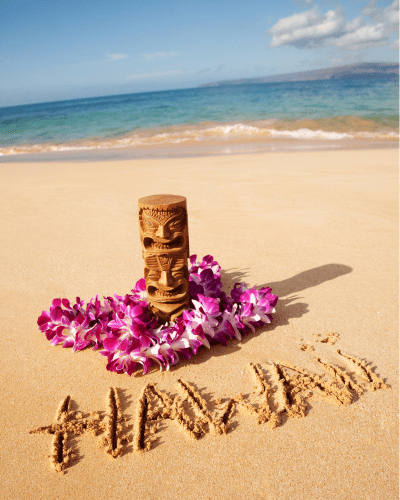 Can You Relocate or Convert a Hawaii LLC to a Florida LLC?